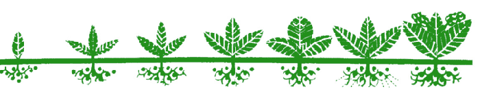 Planters II Growth Logo