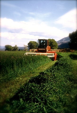 Joseph E. Lionelle cuts his fields in Salida Colorado