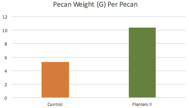 Pecan Weights and Planters II