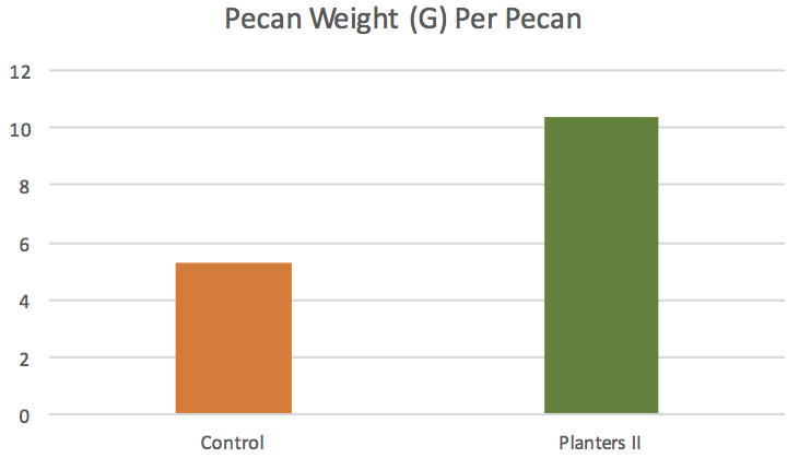 Pecans and Planters II