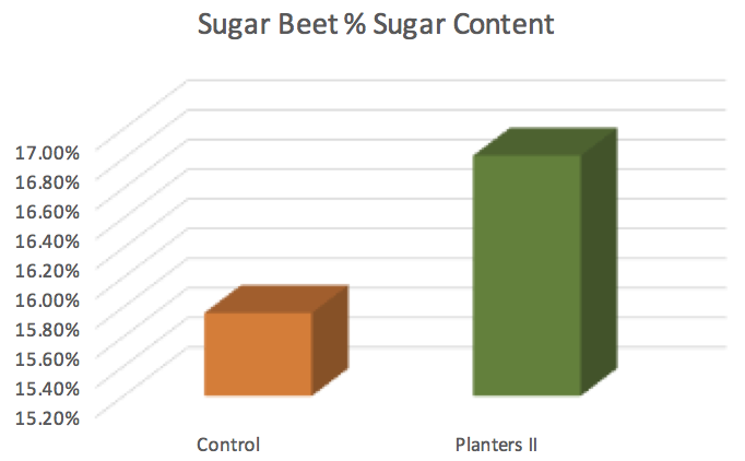 Sugar Beet Yields and Planters II