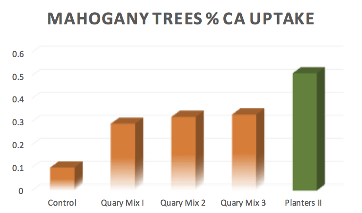 Mahogany CA Uptake and Planters II