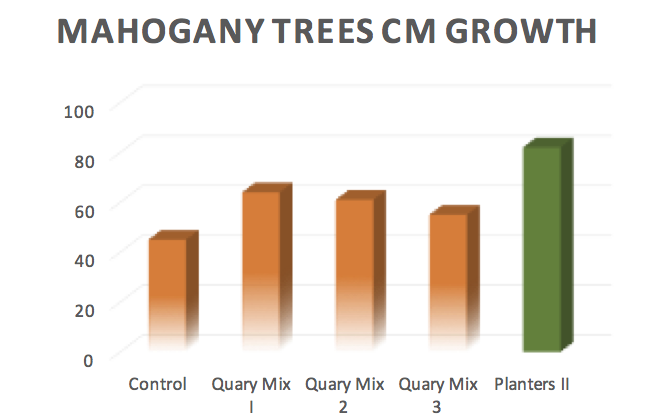 Mahogany Growth and Planters II
